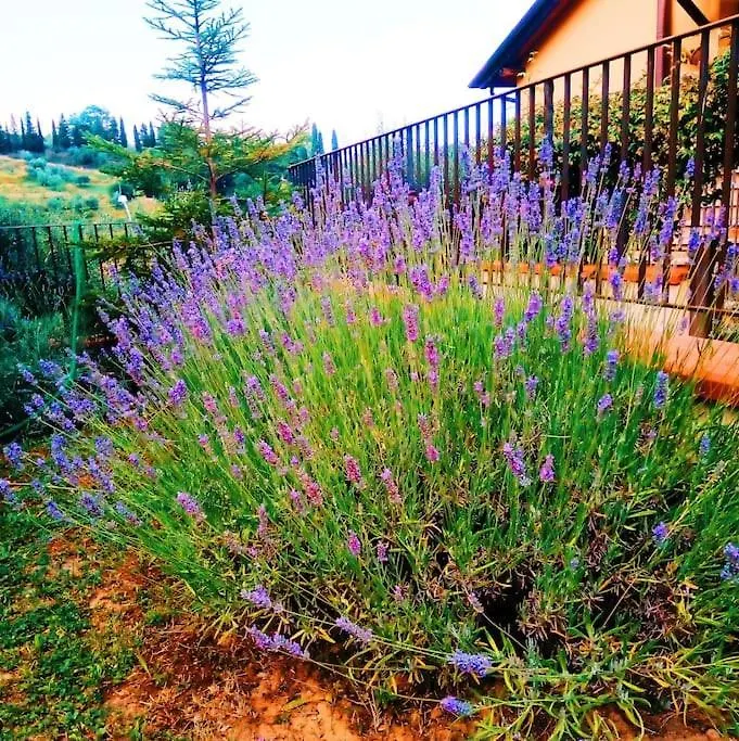 Una Casa In Val Di Chiana - Tuscan Country House Cetona 0*,  Italy